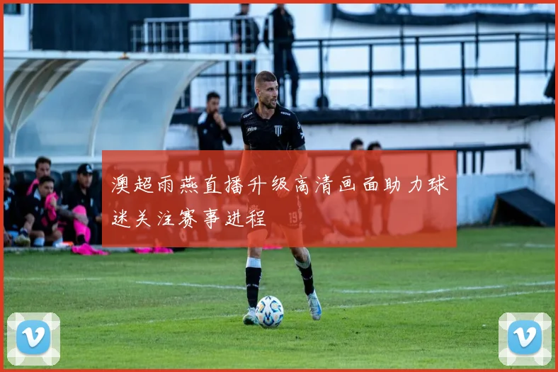 澳超雨燕直播升级高清画面助力球迷关注赛事进程