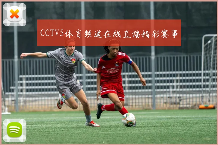 CCTV5体育频道在线直播精彩赛事