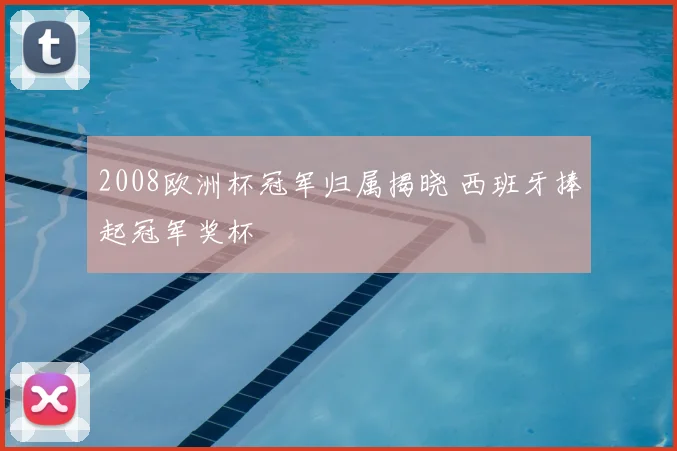 2008欧洲杯冠军归属揭晓 西班牙捧起冠军奖杯