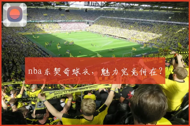 nba东契奇球衣，魅力究竟何在？