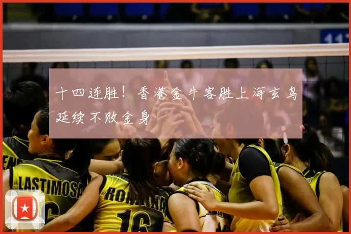 十四连胜！香港金牛客胜上海玄鸟延续不败金身